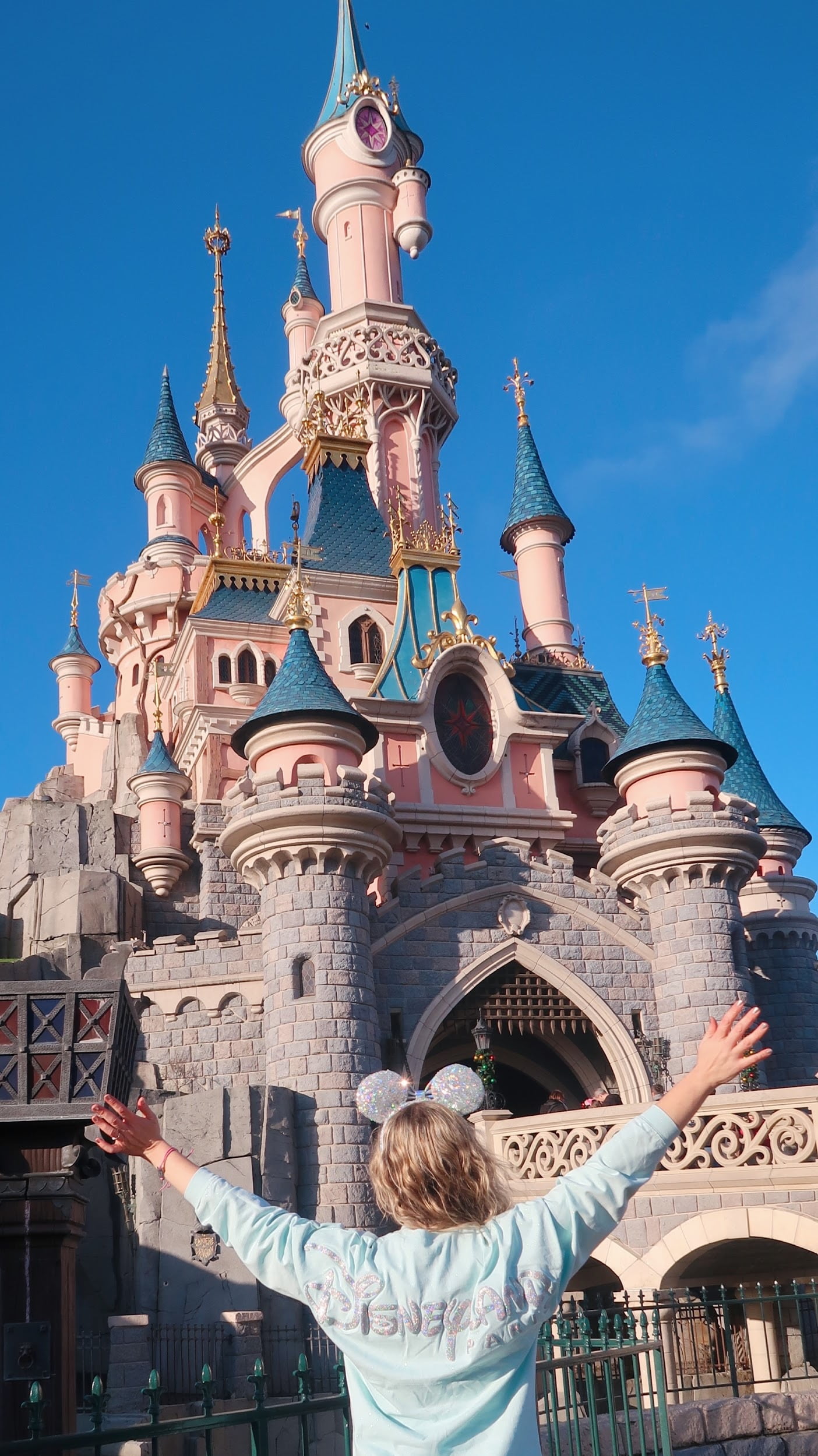 Sleeping Beauty Castle in Disneyland Paris DLP  Sleeping beauty castle, Disneyland  paris, Disney wallpaper